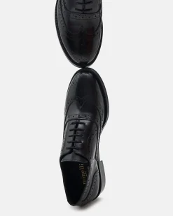 DERBIES PETER/POL NOIR